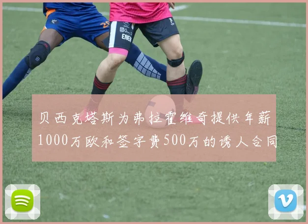 贝西克塔斯为弗拉霍维奇提供年薪1000万欧和签字费500万的诱人合同